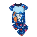 공장 직접 소년 수영복 여름 짧은 소매 만화 2024 소년 어린이 투피스 양복 수영 모자 수영 팬티 - 이미지 5